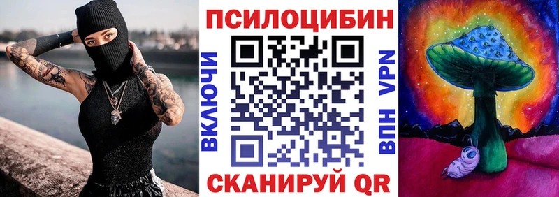 дарк нет телеграм  Пионерский  Псилоцибиновые грибы MAGIC MUSHROOMS  наркошоп 